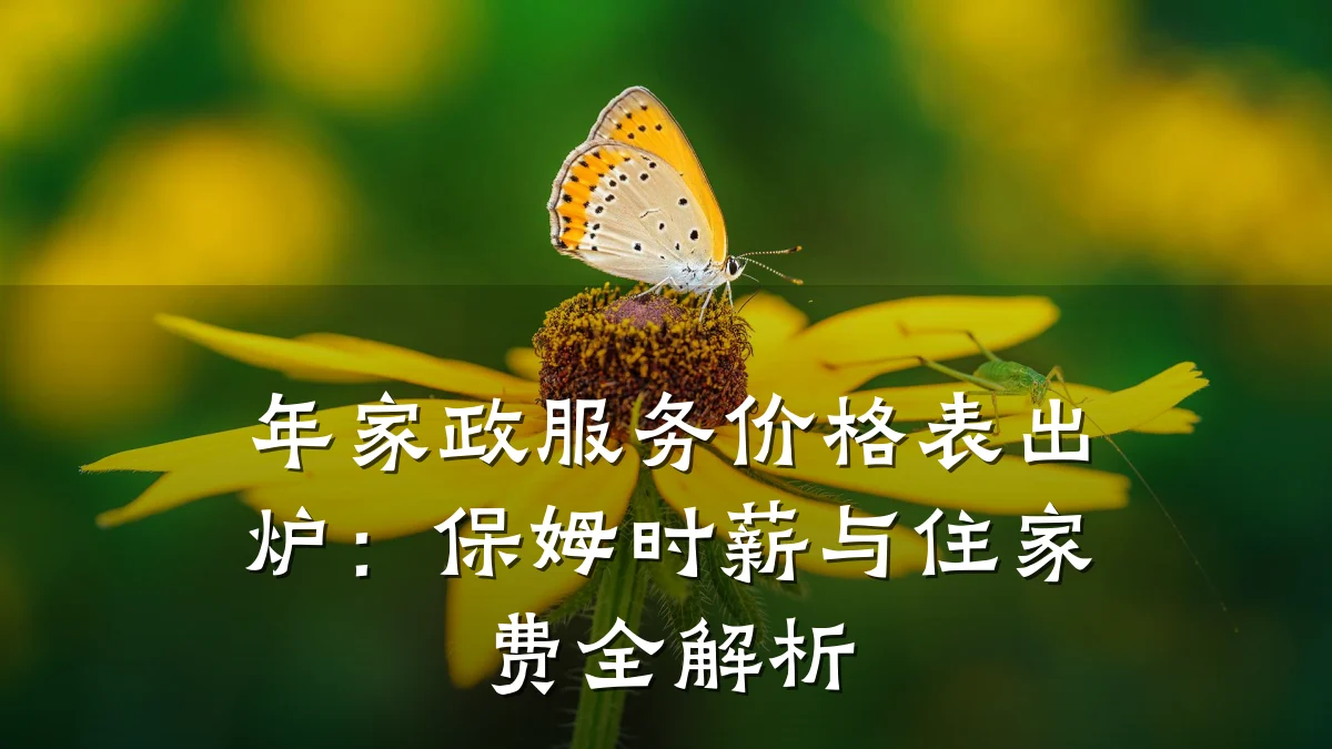 年家政服务价格表出炉:保姆时薪与住家费全解析