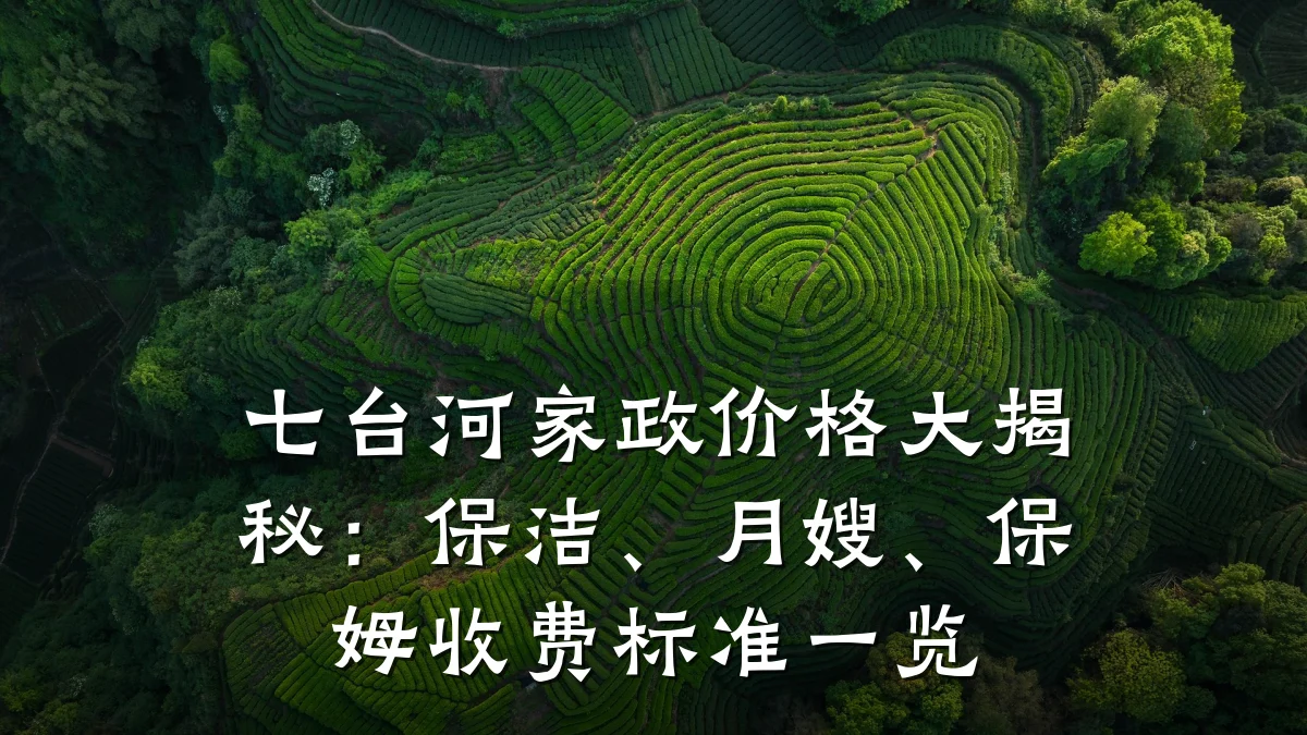 七台河家政价格大揭秘：保洁、月嫂、保姆收费标准一览