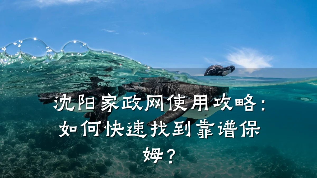 沈阳家政网使用攻略：如何快速找到靠谱保姆？