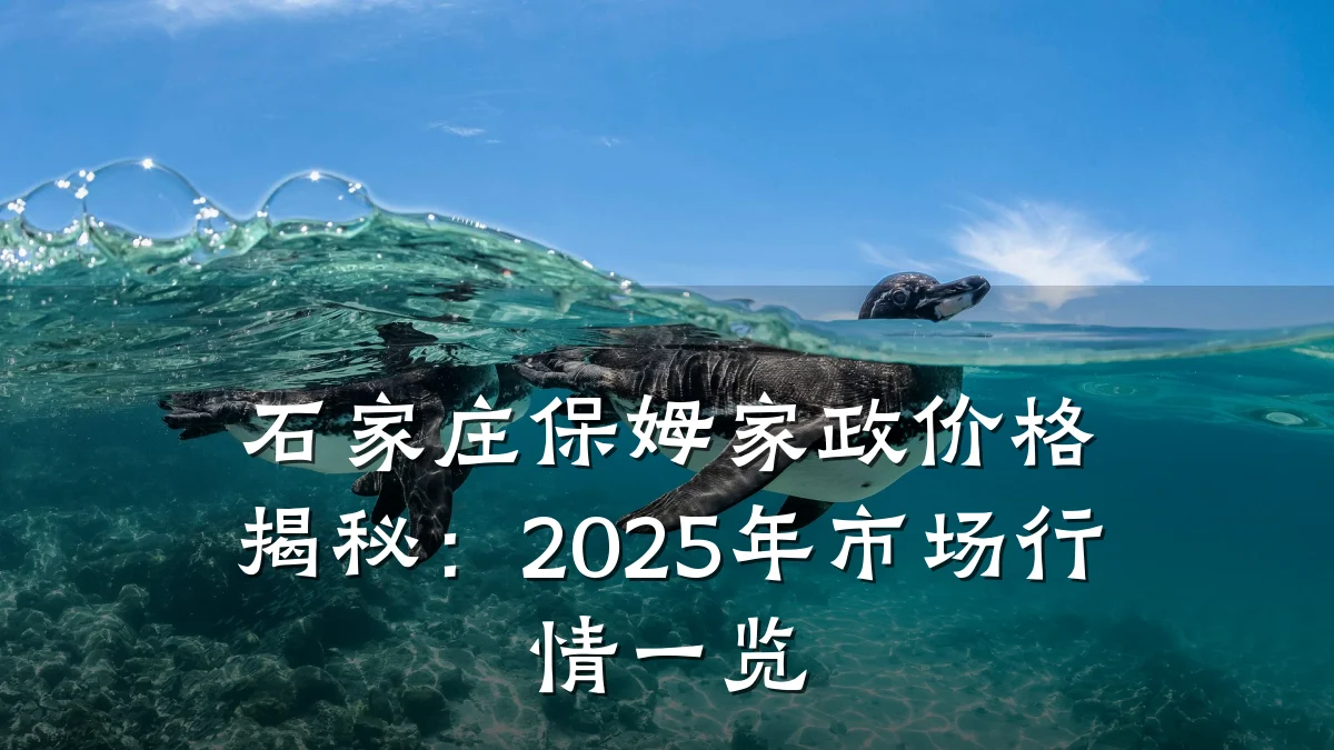 石家庄保姆家政价格揭秘：2025年市场行情一览