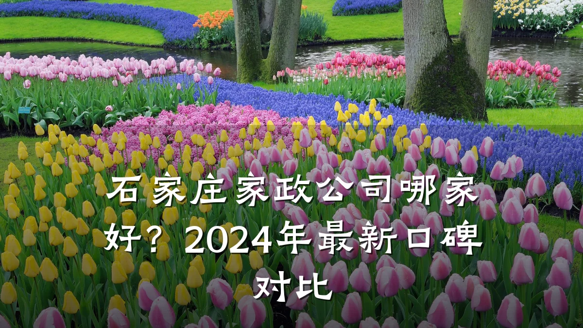石家庄家政公司哪家好?2024年最新口碑对比
