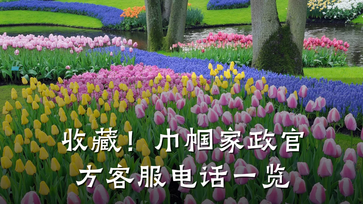 收藏！巾帼家政官方客服电话一览