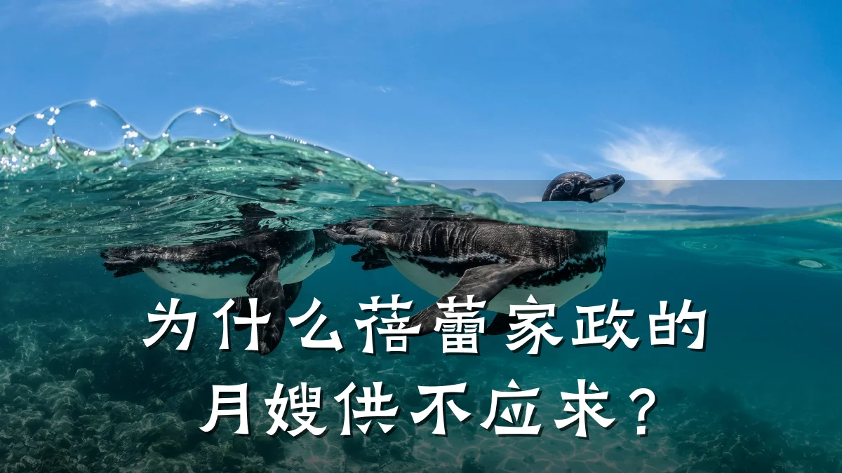 为什么蓓蕾家政的月嫂供不应求?