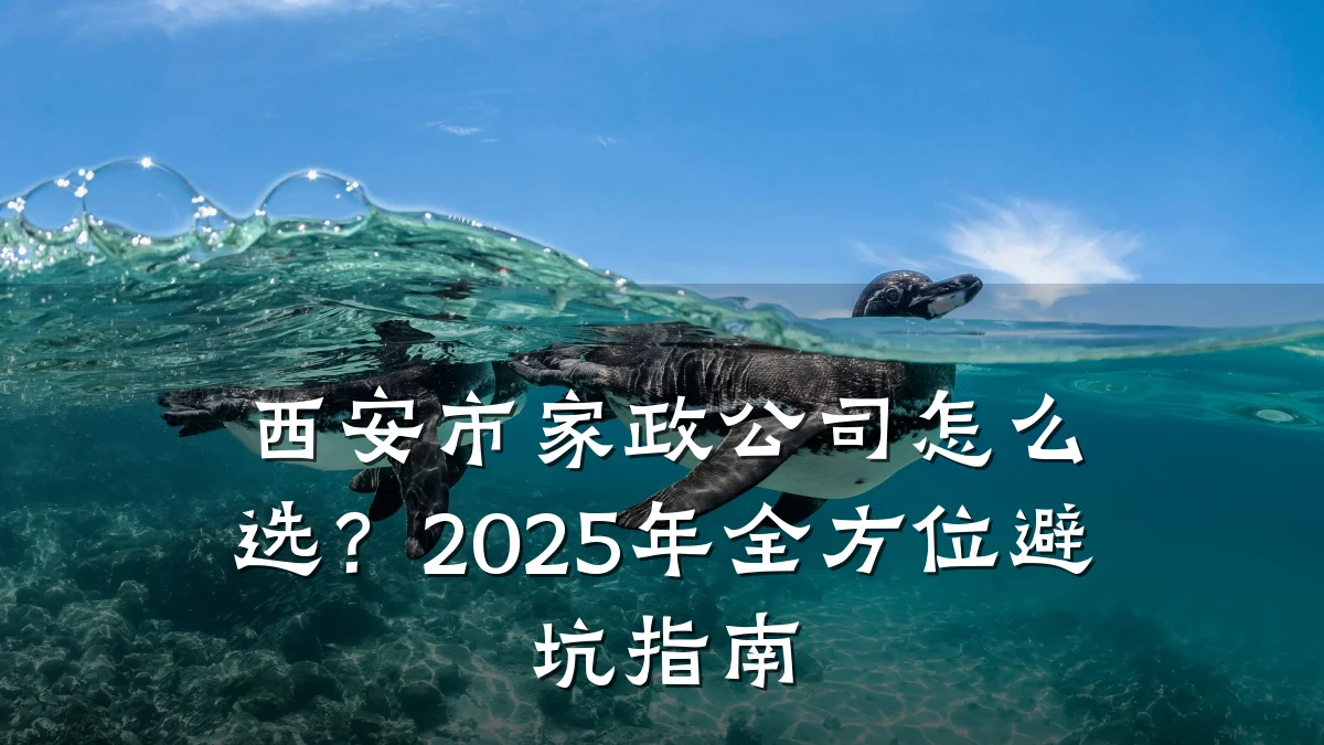 西安市家政公司怎么选？2025年全方位避坑指南