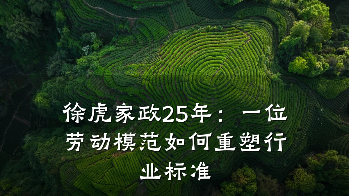徐虎家政25年：一位劳动模范如何重塑行业标准