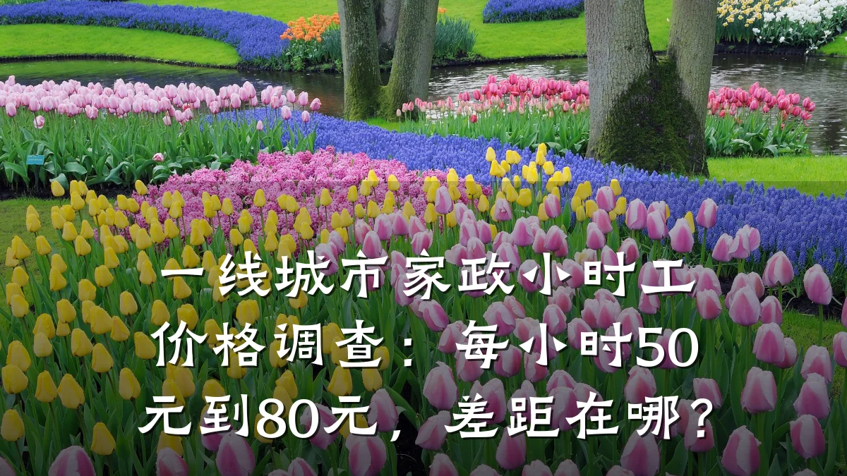 一线城市家政小时工价格调查：每小时50元到80元，差距在哪？