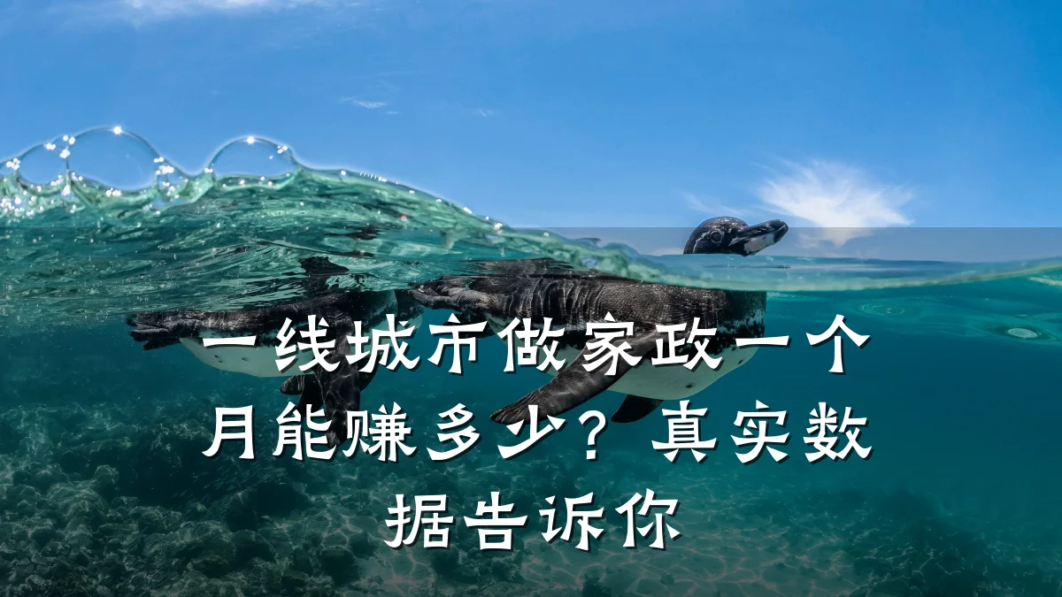 一线城市做家政一个月能赚多少？真实数据告诉你