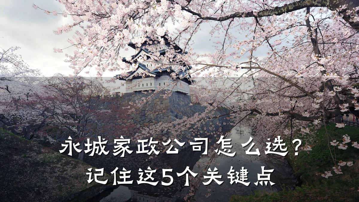 永城家政公司怎么选?记住这5个关键点