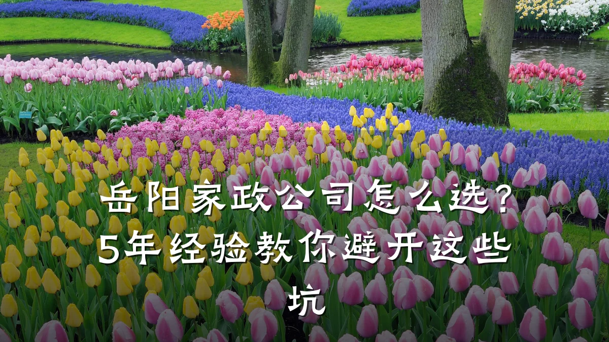岳阳家政公司怎么选？5年经验教你避开这些坑