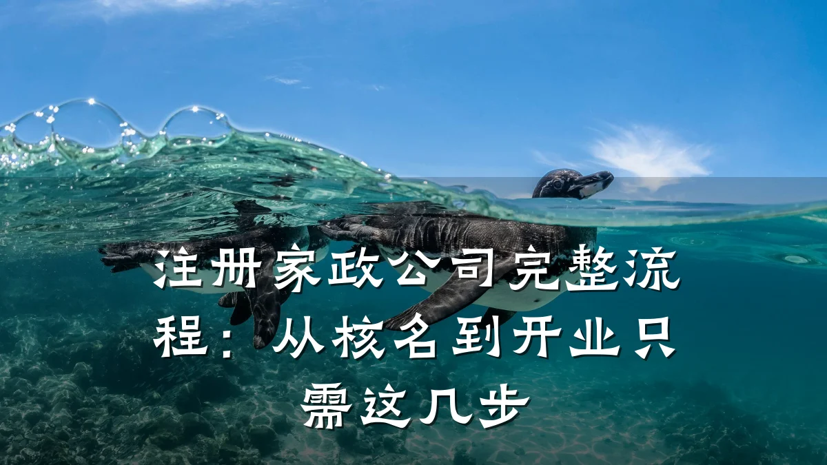 注册家政公司完整流程：从核名到开业只需这几步