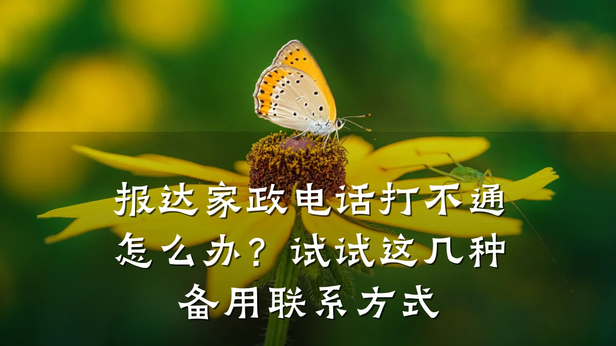 报达家政电话打不通怎么办?试试这几种备用联系方式