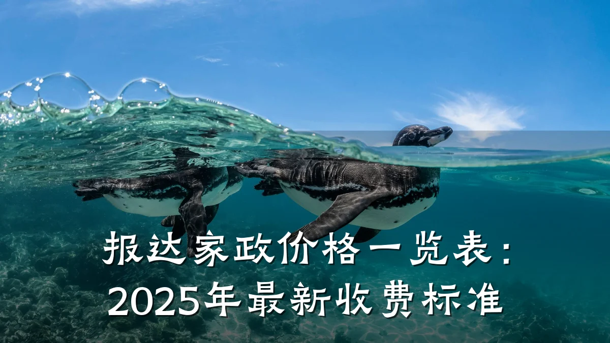 报达家政价格一览表：2025年最新收费标准