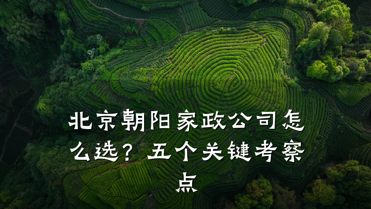 北京朝阳家政公司怎么选?五个关键考察点