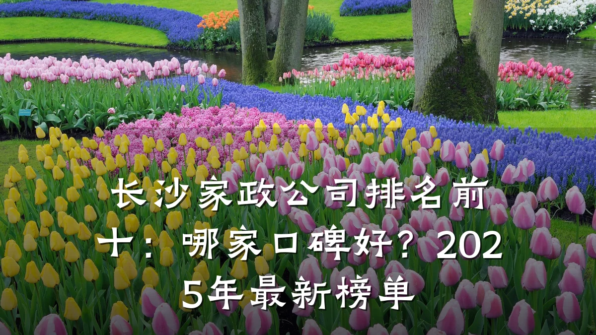 长沙家政公司排名前十：哪家口碑好？2025年最新榜单