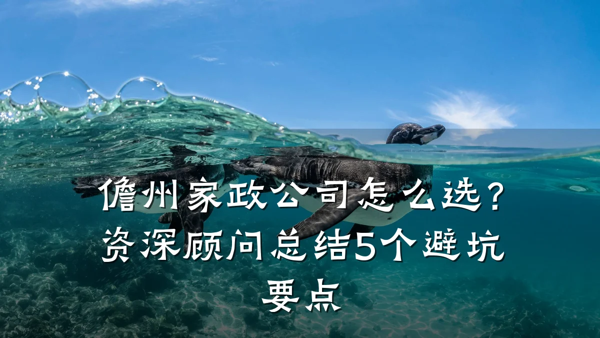 儋州家政公司怎么选？资深顾问总结5个避坑要点