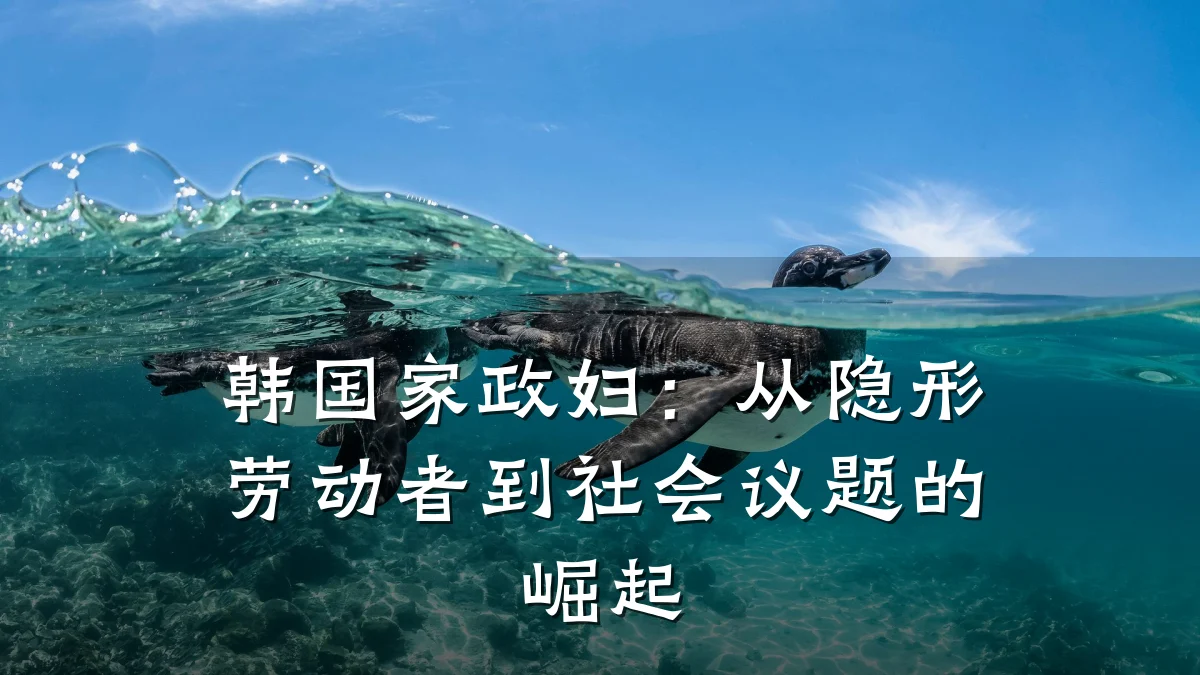 韩国家政妇：从隐形劳动者到社会议题的崛起