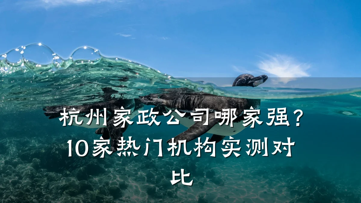 杭州家政公司哪家强？10家热门机构实测对比