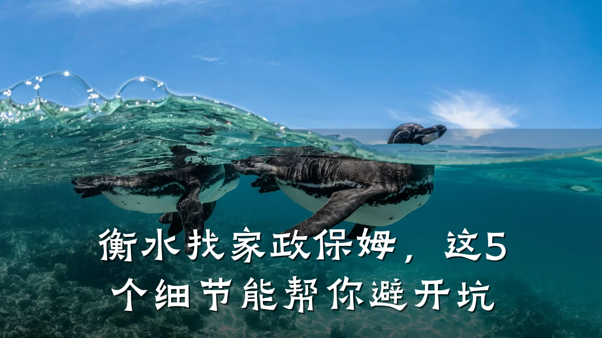 衡水找家政保姆，这5个细节能帮你避开坑