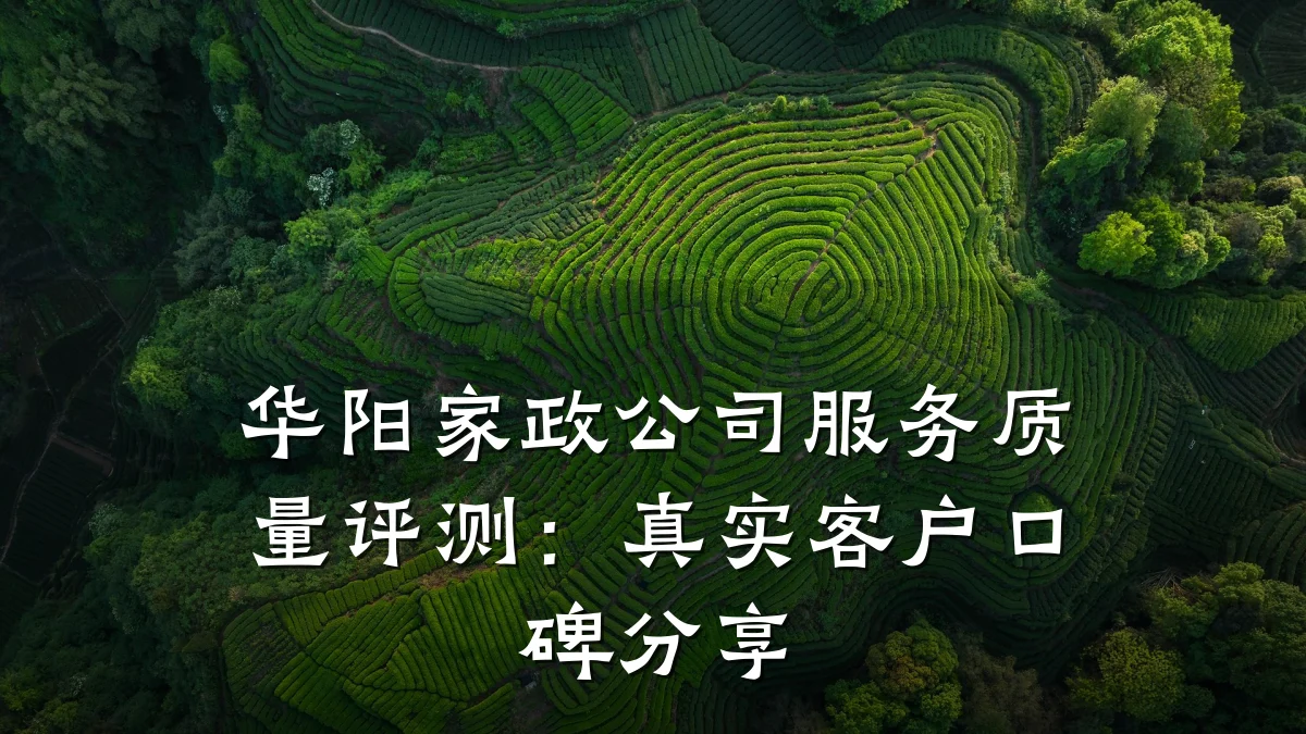 华阳家政公司服务质量评测：真实客户口碑分享