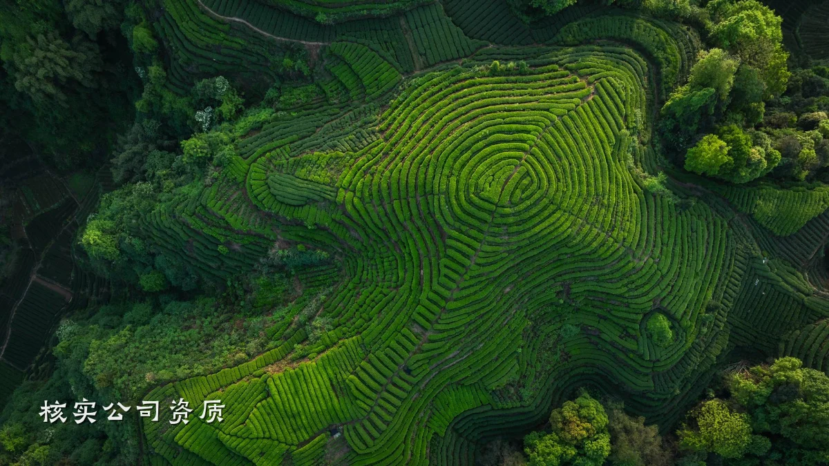 核实公司资质