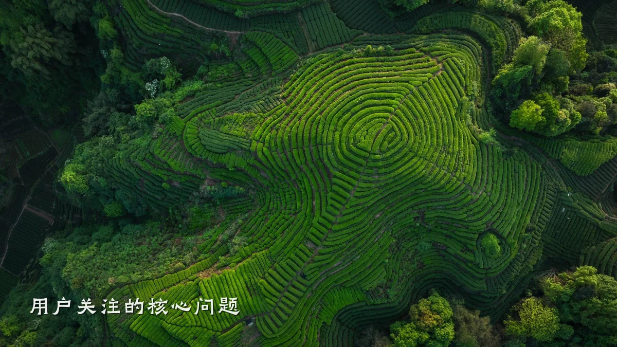 用户关注的核心问题