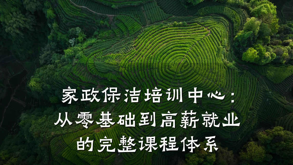 家政保洁培训中心：从零基础到高薪就业的完整课程体系