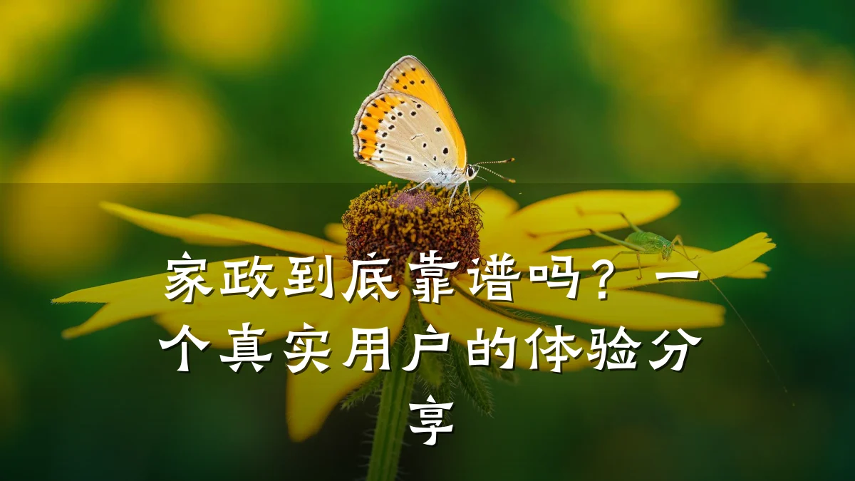 家政到底靠谱吗?一个真实用户的体验分享
