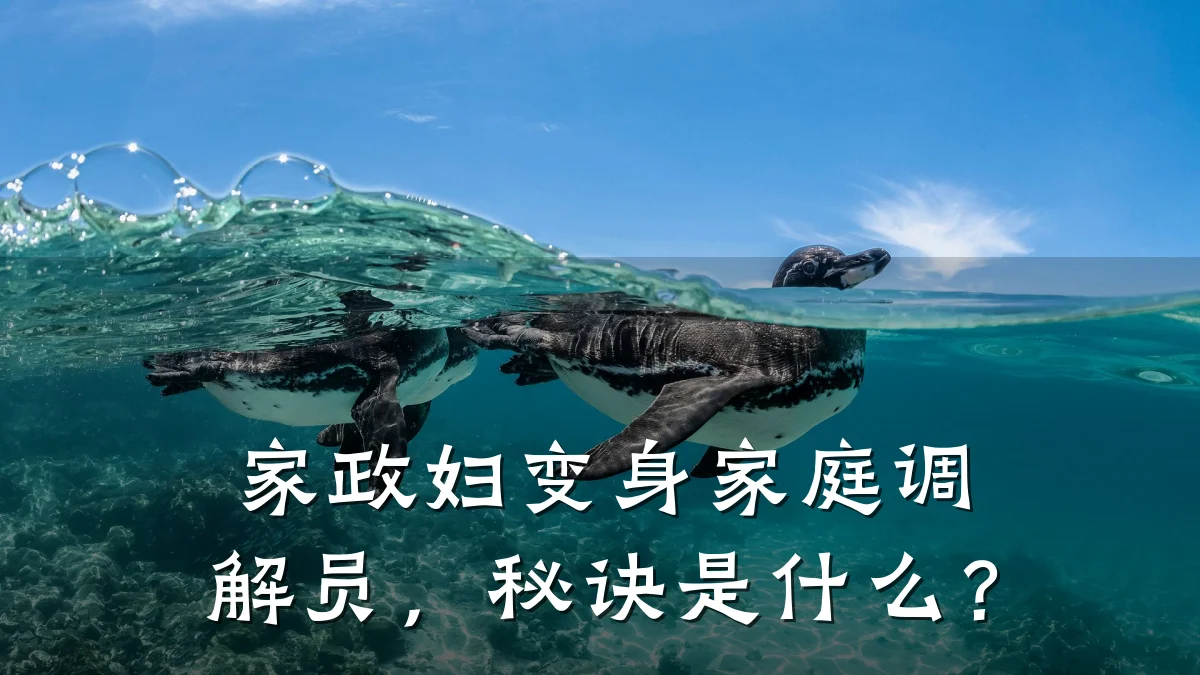 家政妇变身家庭调解员,秘诀是什么?