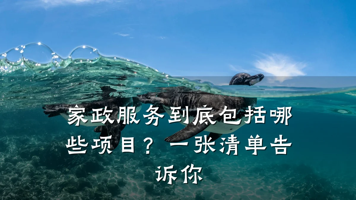 家政服务到底包括哪些项目？一张清单告诉你