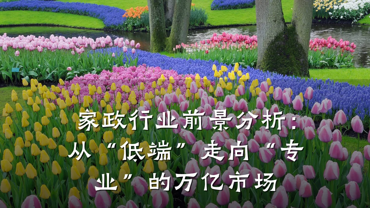 家政行业前景分析:从“低端”走向“专业”的万亿市场