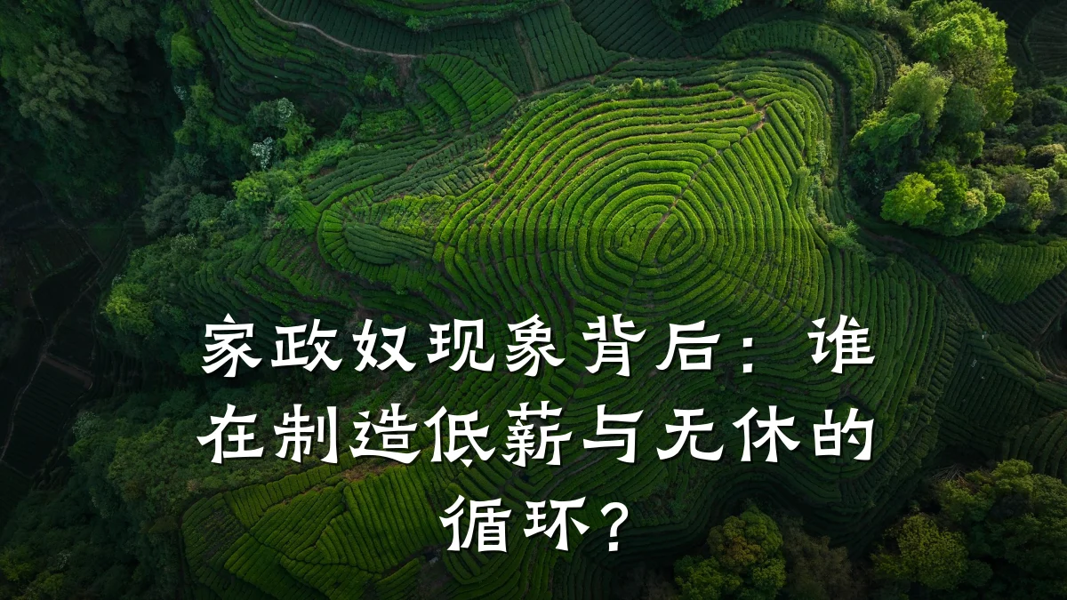 家政奴现象背后:谁在制造低薪与无休的循环?