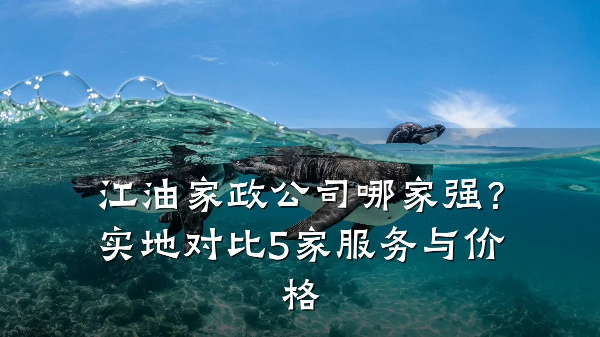 江油家政公司哪家强？实地对比5家服务与价格