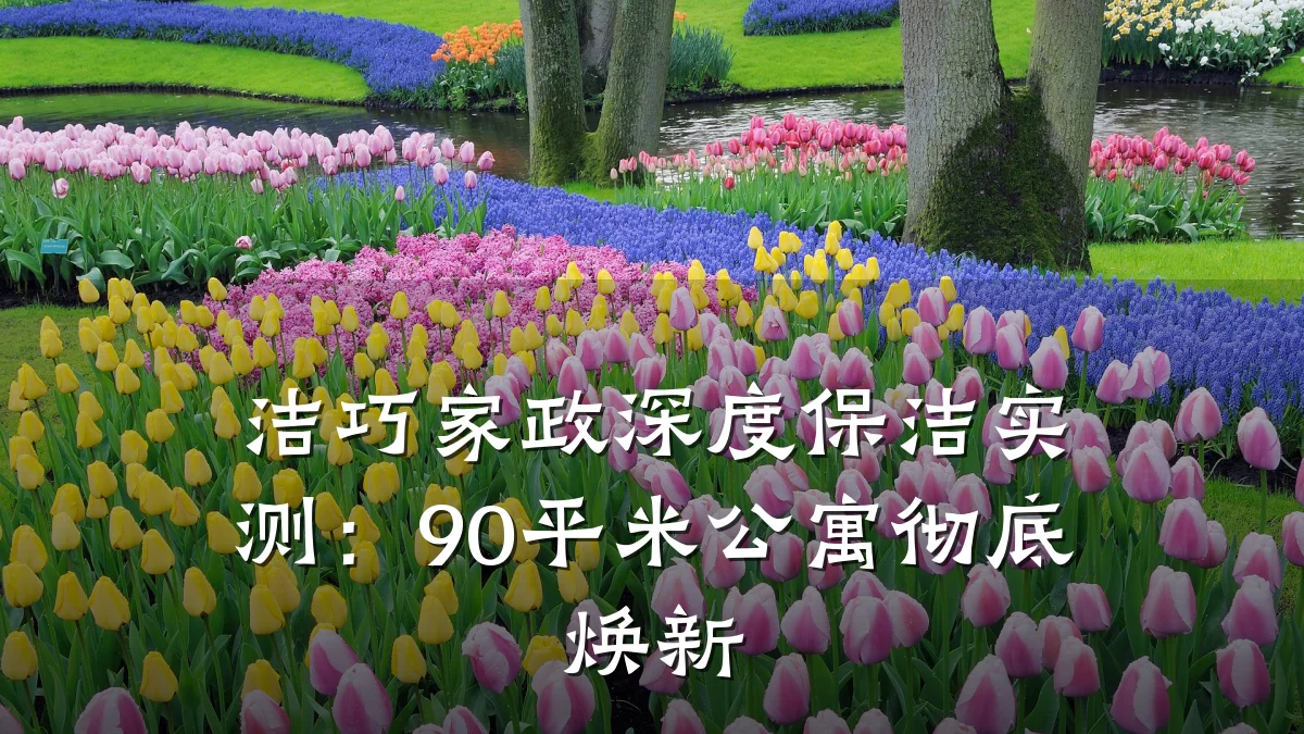 洁巧家政深度保洁实测：90平米公寓彻底焕新