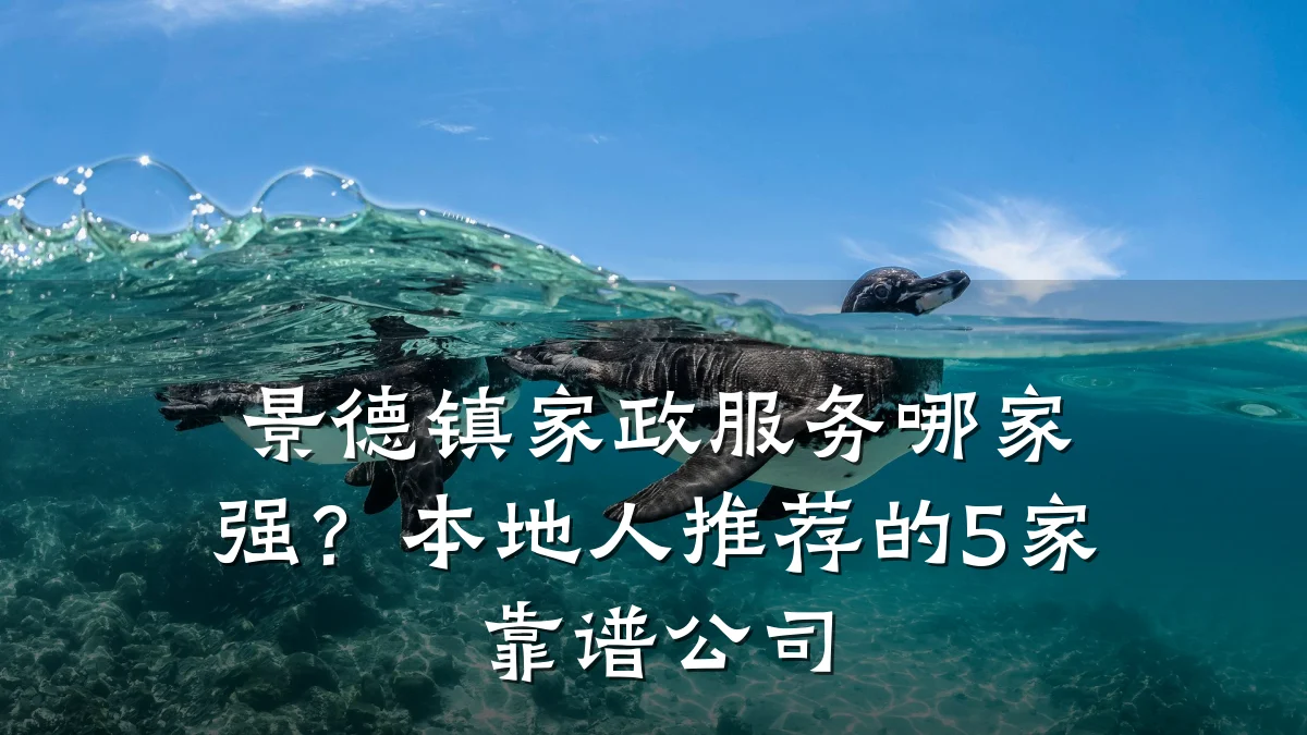 景德镇家政服务哪家强?本地人推荐的5家靠谱公司
