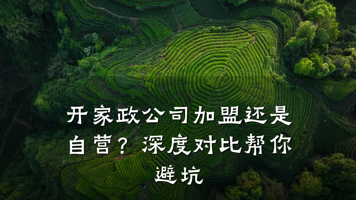 开家政公司加盟还是自营？深度对比帮你避坑