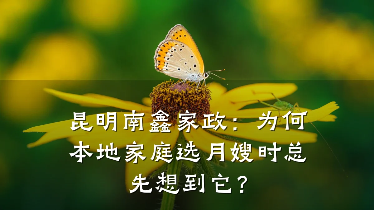 昆明南鑫家政:为何本地家庭选月嫂时总先想到它?