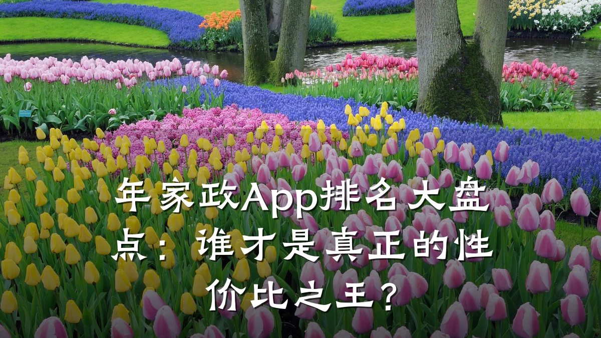 年家政App排名大盘点：谁才是真正的性价比之王？