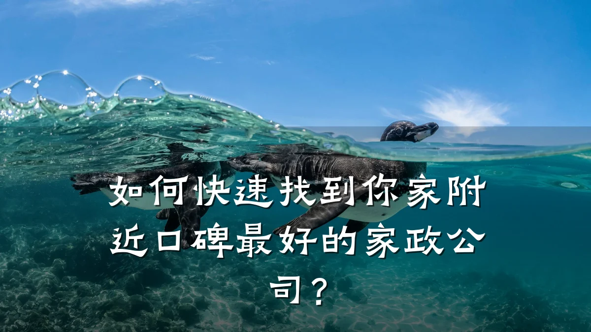 如何快速找到你家附近口碑最好的家政公司？