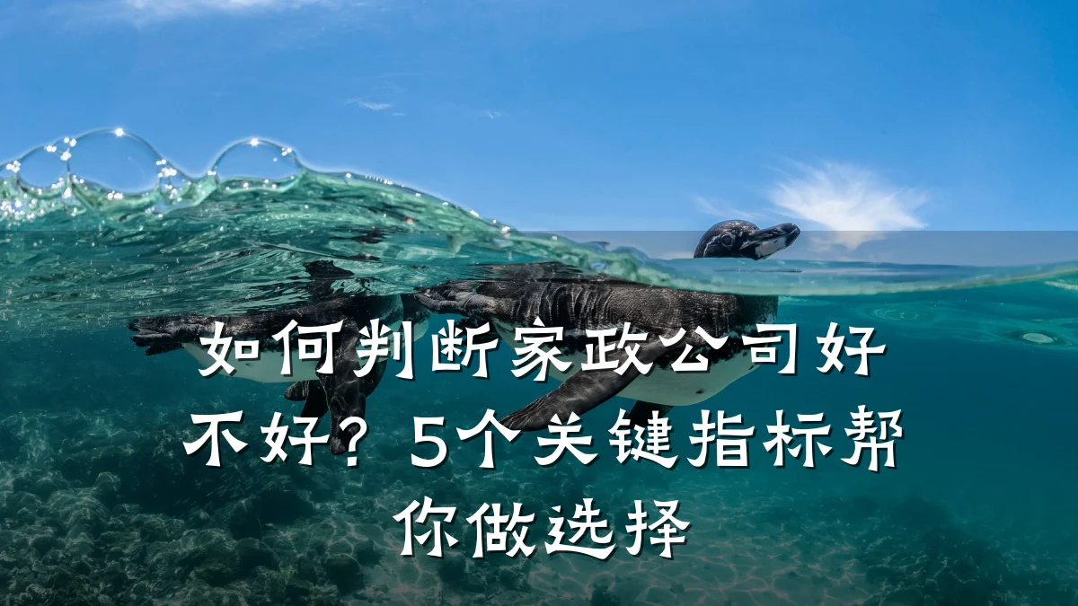 如何判断家政公司好不好?5个关键指标帮你做选择