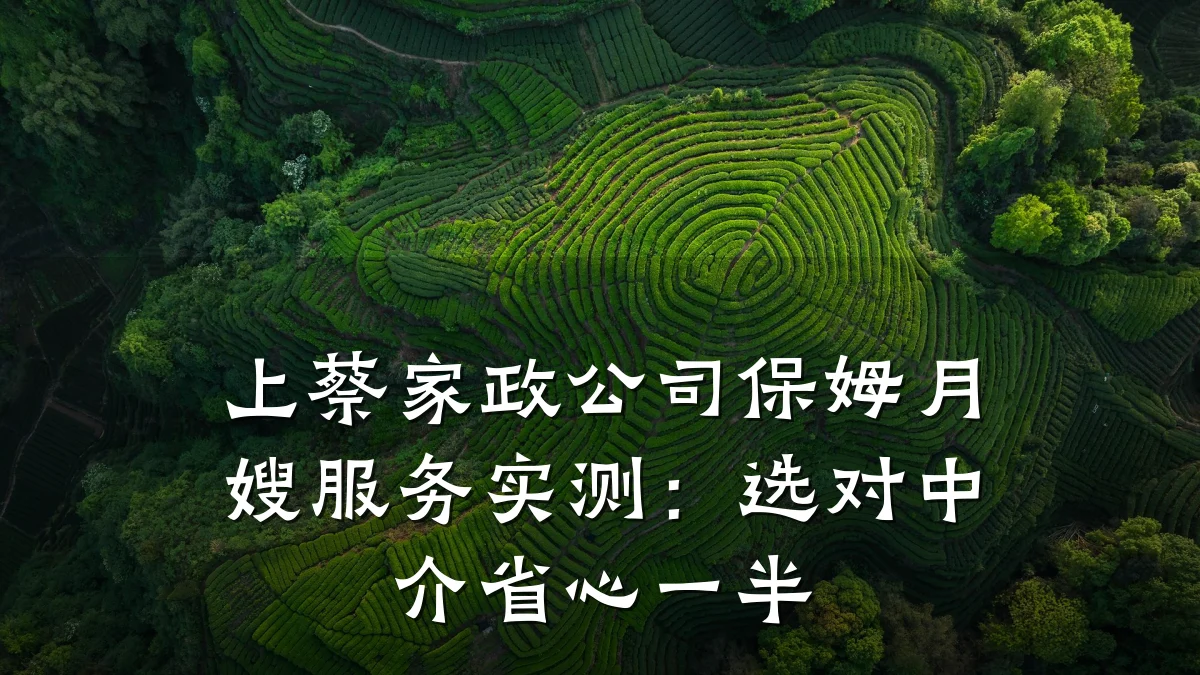 上蔡家政公司保姆月嫂服务实测:选对中介省心一半