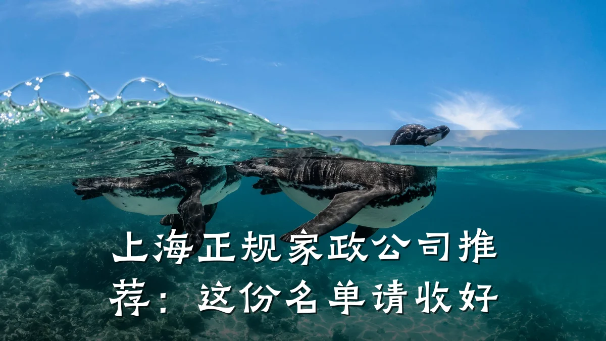 上海正规家政公司推荐：这份名单请收好