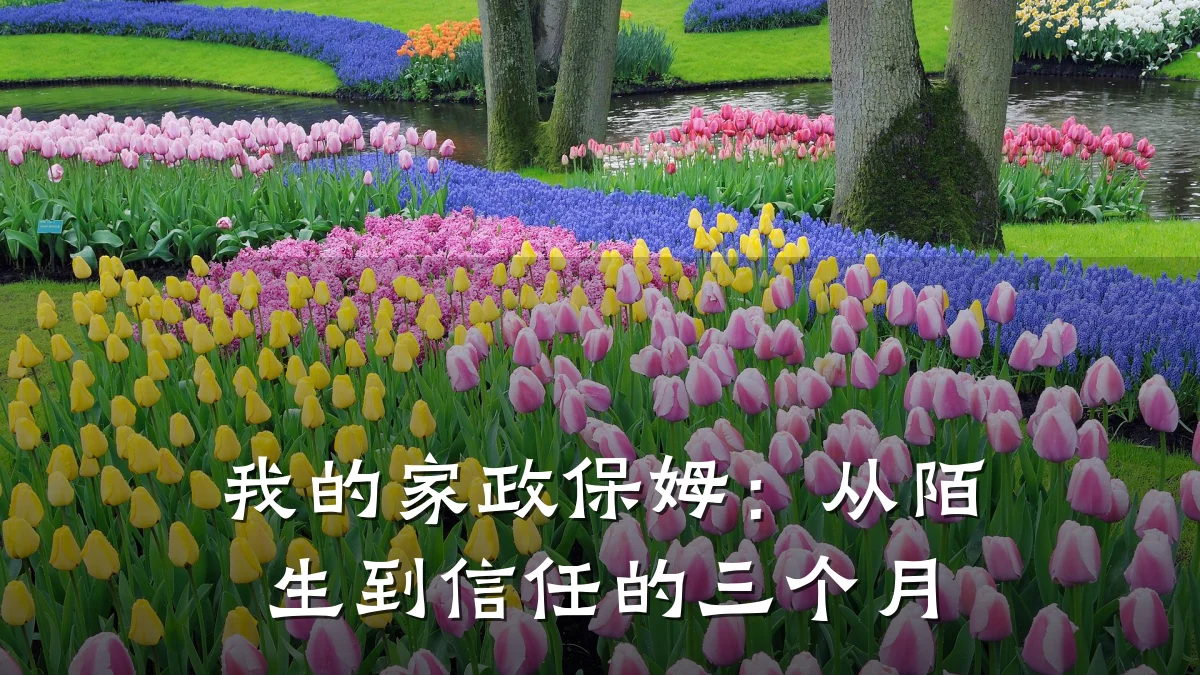 我的家政保姆:从陌生到信任的三个月