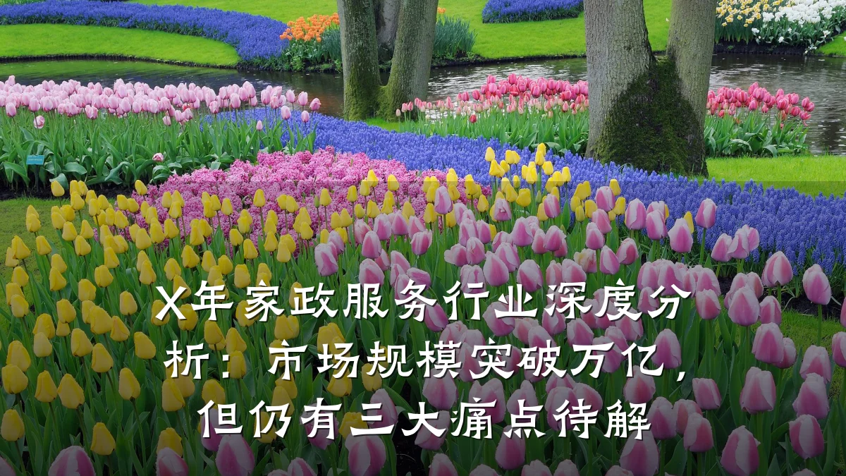 X年家政服务行业深度分析：市场规模突破万亿，但仍有三大痛点待解