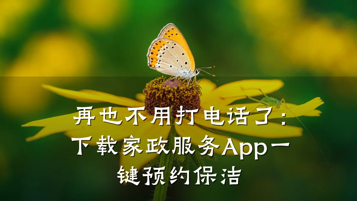 再也不用打电话了：下载家政服务App一键预约保洁