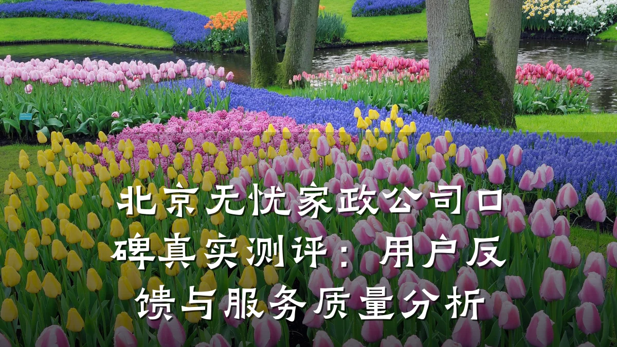 北京无忧家政公司口碑真实测评:用户反馈与服务质量分析