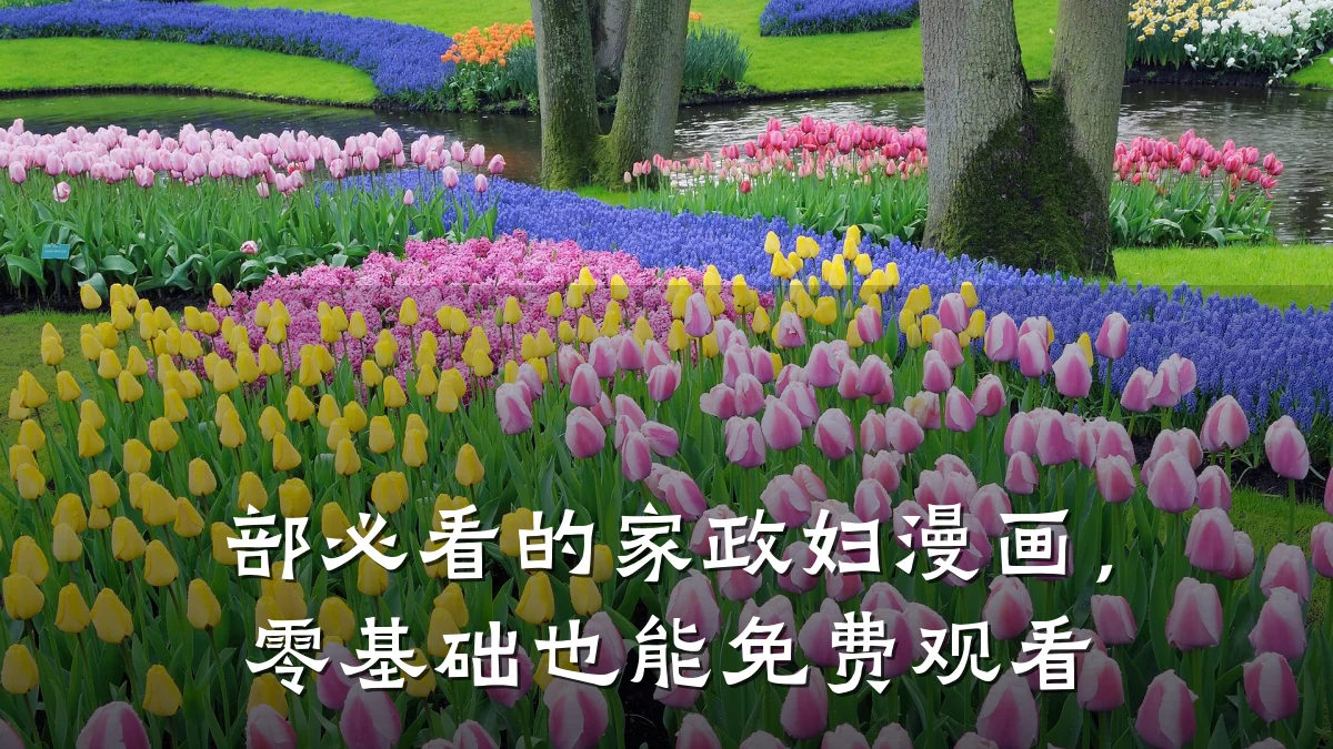 部必看的家政妇漫画，零基础也能免费观看