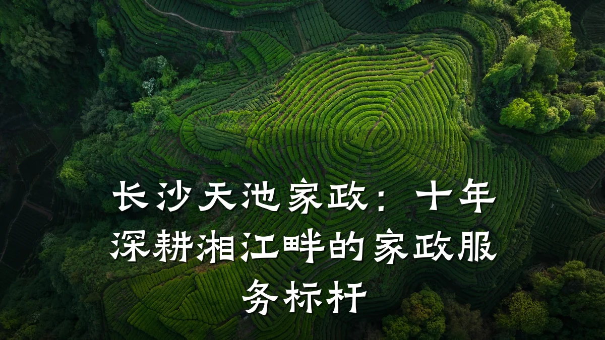 长沙天池家政：十年深耕湘江畔的家政服务标杆
