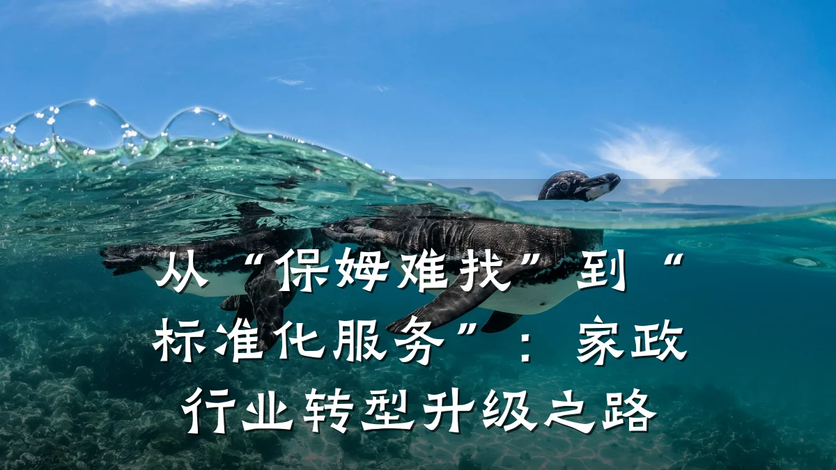 从“保姆难找”到“标准化服务”:家政行业转型升级之路