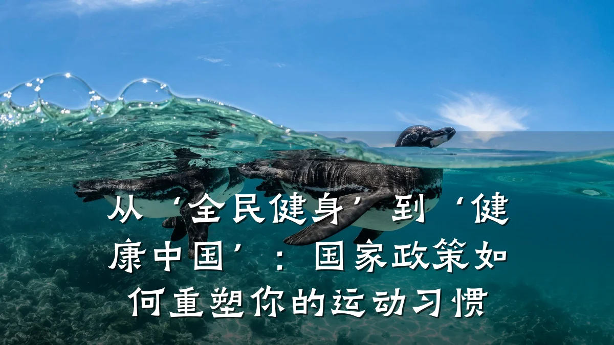 从‘全民健身’到‘健康中国’：国家政策如何重塑你的运动习惯