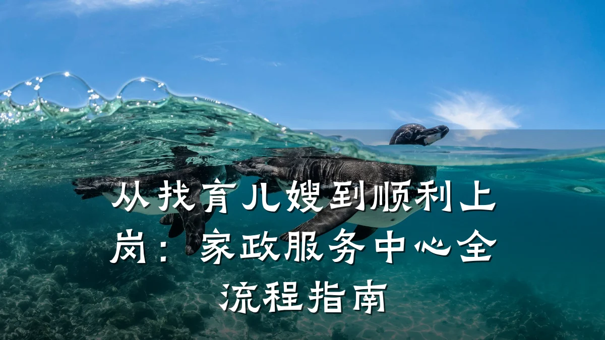 从找育儿嫂到顺利上岗:家政服务中心全流程指南